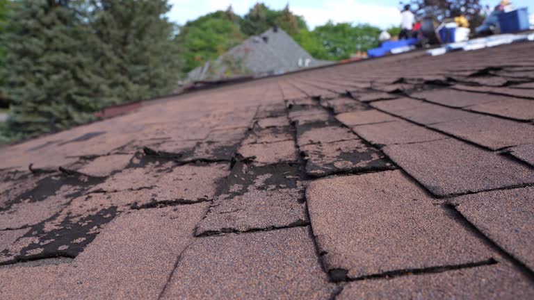 Best Roof Maintenance and Cleaning  in Rialto, CA